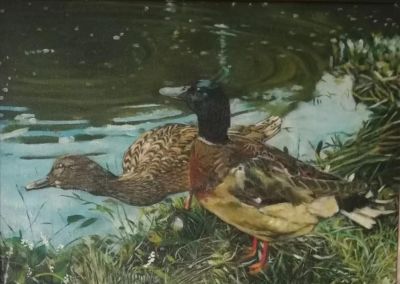 幸福原创画吧2026年第九期画友作品分享 - 图画吧TUHUABA