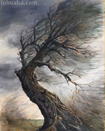 幸福原创画吧2026年第九期画友作品分享 - 图画吧TUHUABA