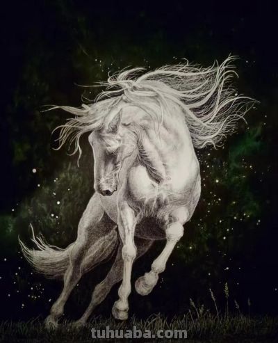 幸福原创画吧2026年第九期画友作品分享 - 图画吧TUHUABA