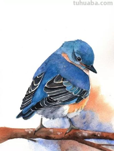 这些优雅的小精灵，好可爱！ - 图画吧TUHUABA