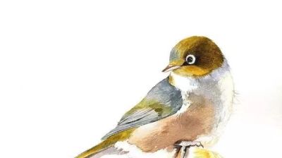 这些优雅的小精灵，好可爱！ - 图画吧TUHUABA