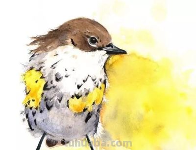 这些优雅的小精灵，好可爱！ - 图画吧TUHUABA