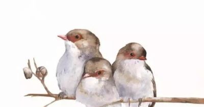 这些优雅的小精灵，好可爱！ - 图画吧TUHUABA