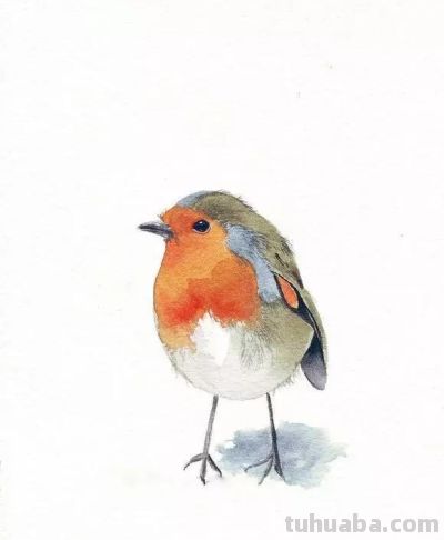 这些优雅的小精灵，好可爱！ - 图画吧TUHUABA