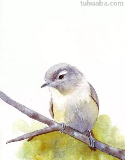 这些优雅的小精灵，好可爱！ - 图画吧TUHUABA