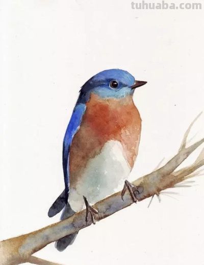 这些优雅的小精灵，好可爱！ - 图画吧TUHUABA