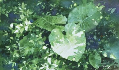 世界水彩：中国宝岛籍水彩画家林裕清 - 图画吧TUHUABA