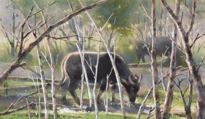 世界水彩：中国宝岛籍水彩画家林裕清 - 图画吧TUHUABA