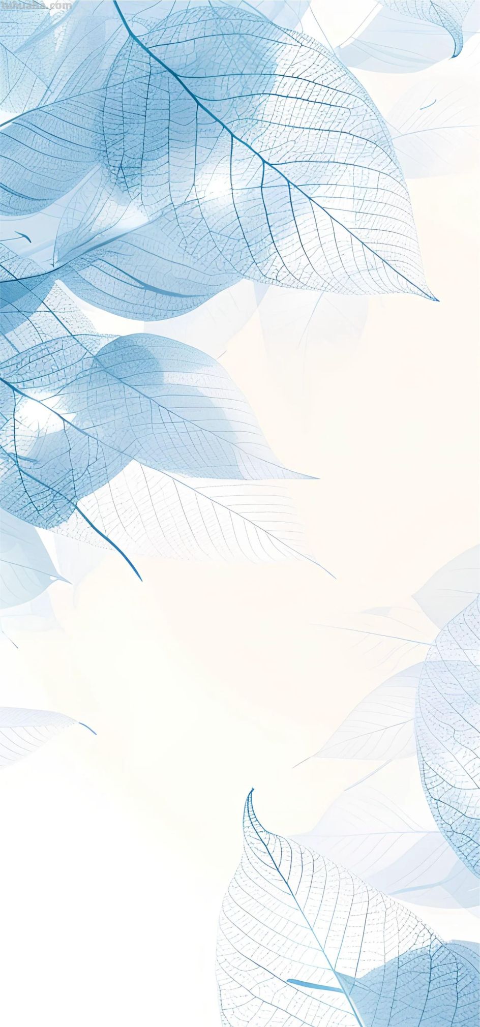 清新手绘｜创意花卉｜壁纸 - 图画吧TUHUABA