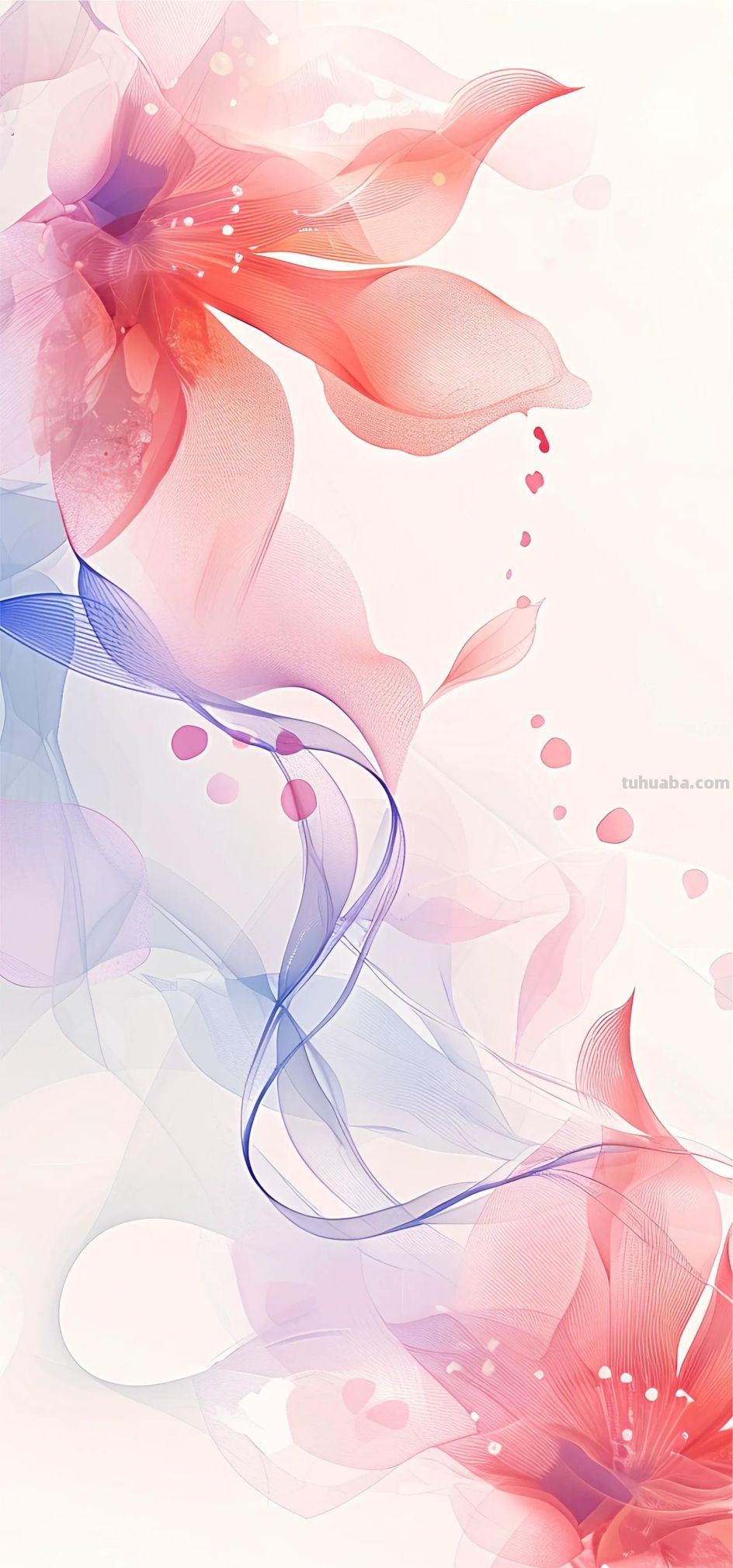 清新手绘｜创意花卉｜壁纸 - 图画吧TUHUABA