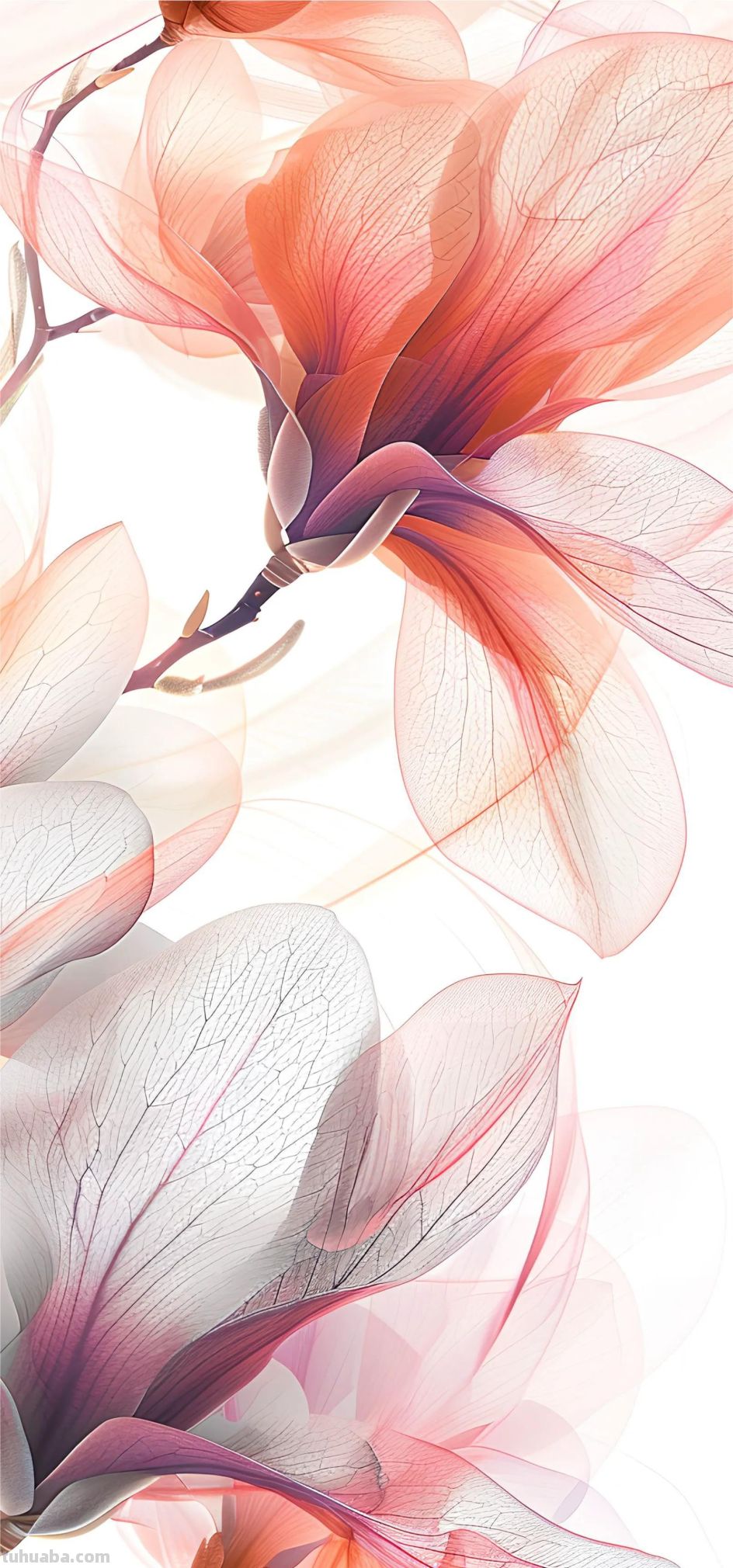 清新手绘｜创意花卉｜壁纸 - 图画吧TUHUABA