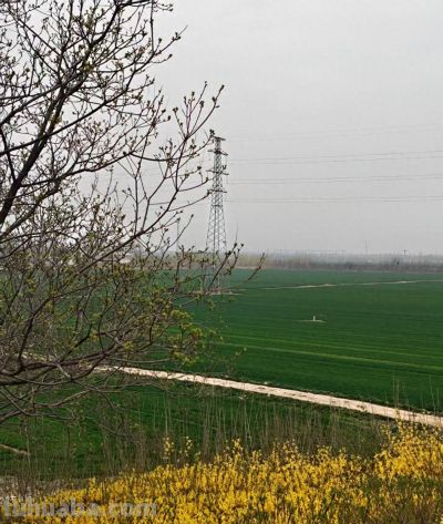 季节笔记：在又一个春天里的速写 - 今日头条