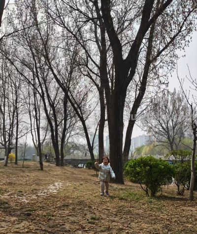 季节笔记：在又一个春天里的速写 - 图画吧TUHUABA