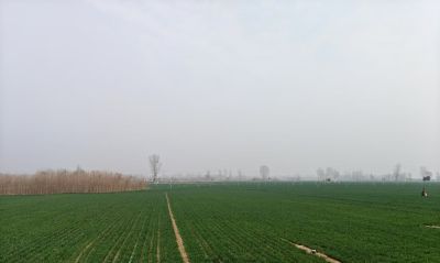 季节笔记：在又一个春天里的速写 - 图画吧TUHUABA