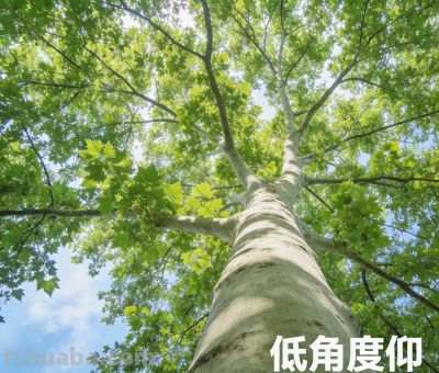 手机摄影4招，随手拍出朋友圈大片 - 图画吧TUHUABA