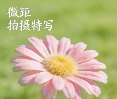 手机摄影4招，随手拍出朋友圈大片 - 图画吧TUHUABA