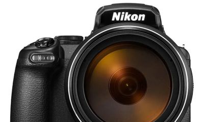 野生鸟类摄影相机怎么选?8款高性价比神机盘点,总有一款适合你 - 今日头条 野生鸟类摄影相机怎么选?8款高性价比神机盘点,总有一款适合你 - 图画吧TUHUABA