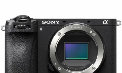 野生鸟类摄影相机怎么选?8款高性价比神机盘点,总有一款适合你 - 今日头条 野生鸟类摄影相机怎么选?8款高性价比神机盘点,总有一款适合你 - 图画吧TUHUABA