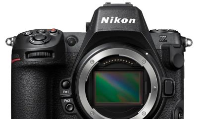 野生鸟类摄影相机怎么选?8款高性价比神机盘点,总有一款适合你 - 今日头条 野生鸟类摄影相机怎么选?8款高性价比神机盘点,总有一款适合你 - 图画吧TUHUABA