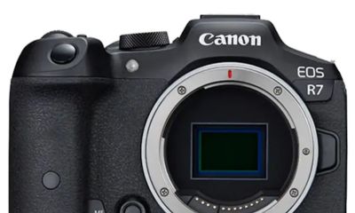 野生鸟类摄影相机怎么选?8款高性价比神机盘点,总有一款适合你 - 今日头条 野生鸟类摄影相机怎么选?8款高性价比神机盘点,总有一款适合你 - 图画吧TUHUABA