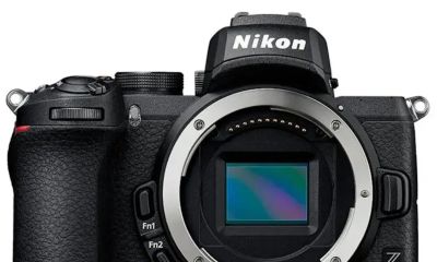 野生鸟类摄影相机怎么选?8款高性价比神机盘点,总有一款适合你 - 今日头条 野生鸟类摄影相机怎么选?8款高性价比神机盘点,总有一款适合你 - 图画吧TUHUABA