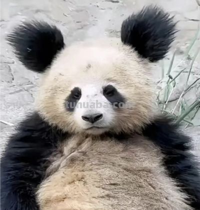 姐，你这是在cos哪位？？？#头发 #搞笑 #cos - 图画吧TUHUABA