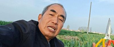 家庭种植大蒜，给它剪一刀，一个蒜头能长三两到半斤多 - 今日头条