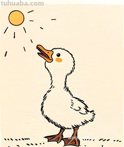 简笔画｜简约插画｜小鸭子 - 图画吧TUHUABA