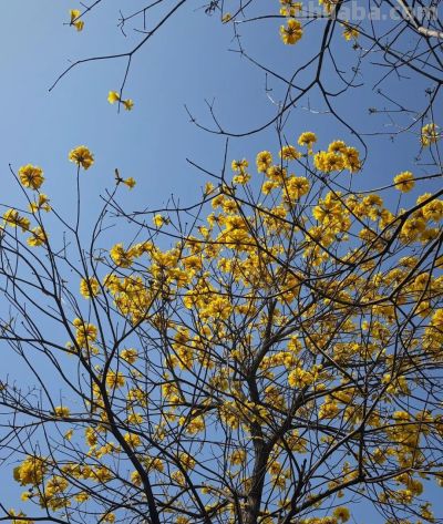 极简 | 一个人的小生活 - 图画吧TUHUABA