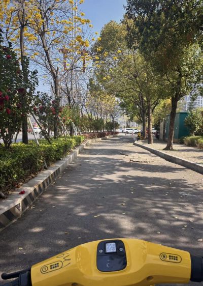 极简 | 一个人的小生活 - 图画吧TUHUABA