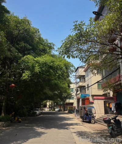 极简 | 一个人的小生活 - 图画吧TUHUABA