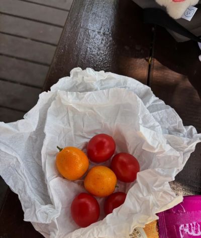 极简 | 一个人的小生活 - 图画吧TUHUABA