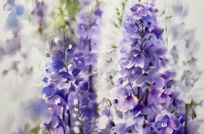 林滚滚的水彩作品 - 图画吧TUHUABA