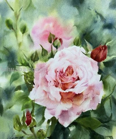 林滚滚的水彩作品 - 图画吧TUHUABA