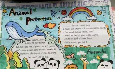 常用的英语手抄报 - 图画吧TUHUABA