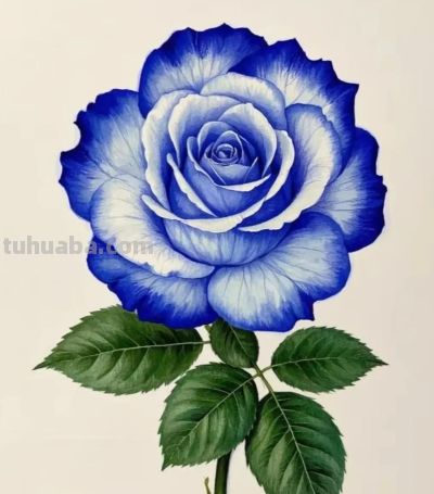 彩铅画，每一朵花都拥有了生命，在纸上绽放，展现着大自然的美丽 - 图画吧TUHUABA