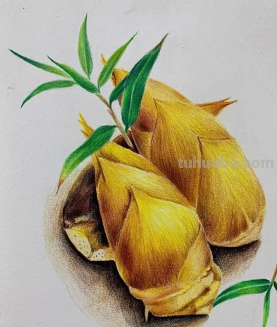 彩铅画，画的好逼真呀 - 图画吧TUHUABA