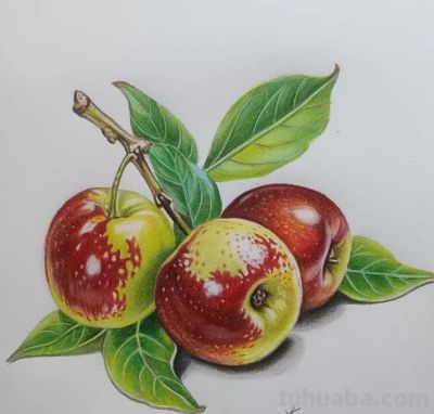 彩铅画，画的好逼真呀 - 图画吧TUHUABA