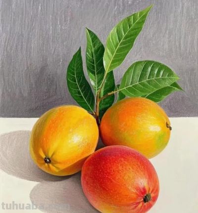 彩铅画，画的好逼真呀 - 图画吧TUHUABA