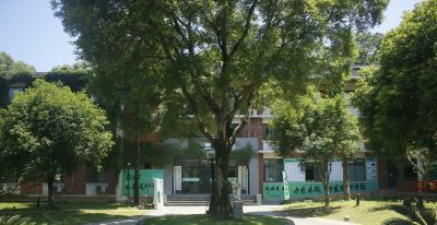 总结基础素描培训中心选购要点，选对不踩坑 - 今日头条