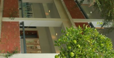 总结基础素描培训中心选购要点，选对不踩坑 - 图画吧TUHUABA