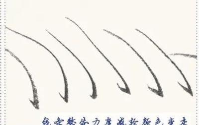 线条是速写的表现语言（三）回头线/结构点线 - 图画吧TUHUABA