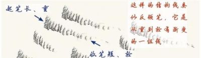 线条是速写的表现语言（三）回头线/结构点线 - 图画吧TUHUABA