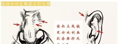 线条是速写的表现语言（三）回头线/结构点线 - 图画吧TUHUABA