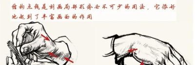 线条是速写的表现语言（三）回头线/结构点线 - 图画吧TUHUABA