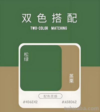 色彩搭配 春日5套绿色系配色，把高级感焊在身上 - 图画吧TUHUABA