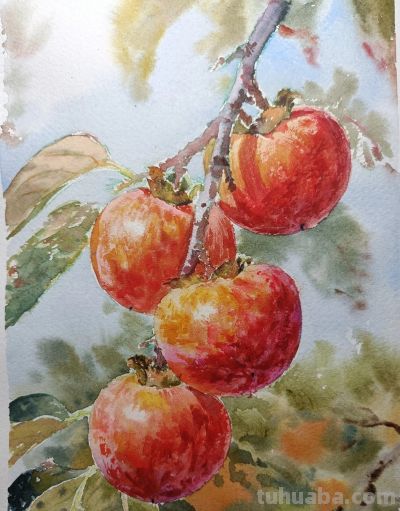 幸福原创画吧2026年第十一期画友作品分享 - 今日头条