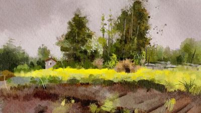 幸福原创画吧2026年第十一期画友作品分享 - 图画吧TUHUABA