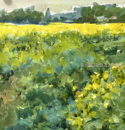 幸福原创画吧2026年第十一期画友作品分享 - 图画吧TUHUABA