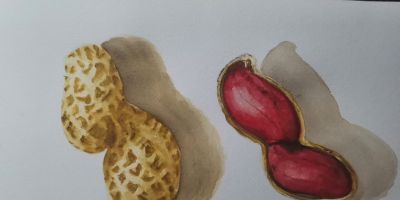 幸福原创画吧2026年第十一期画友作品分享 - 图画吧TUHUABA